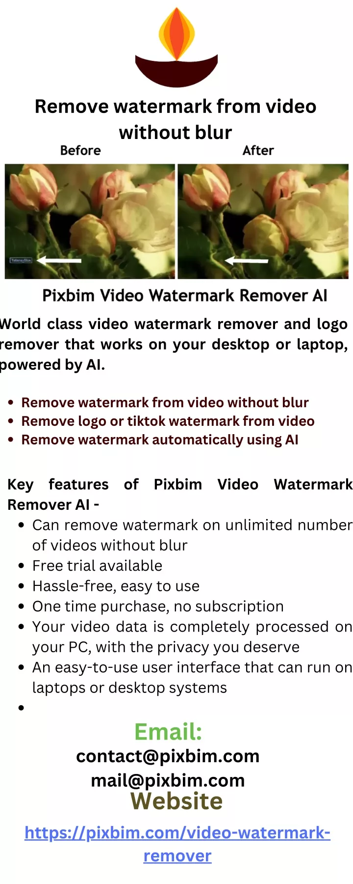 remove watermark from video without blur