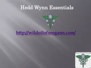 Oil of Wild Oregano for Gut Health,  wildoiloforegano.com