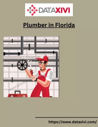 Plumber in Florida | DataXiVi