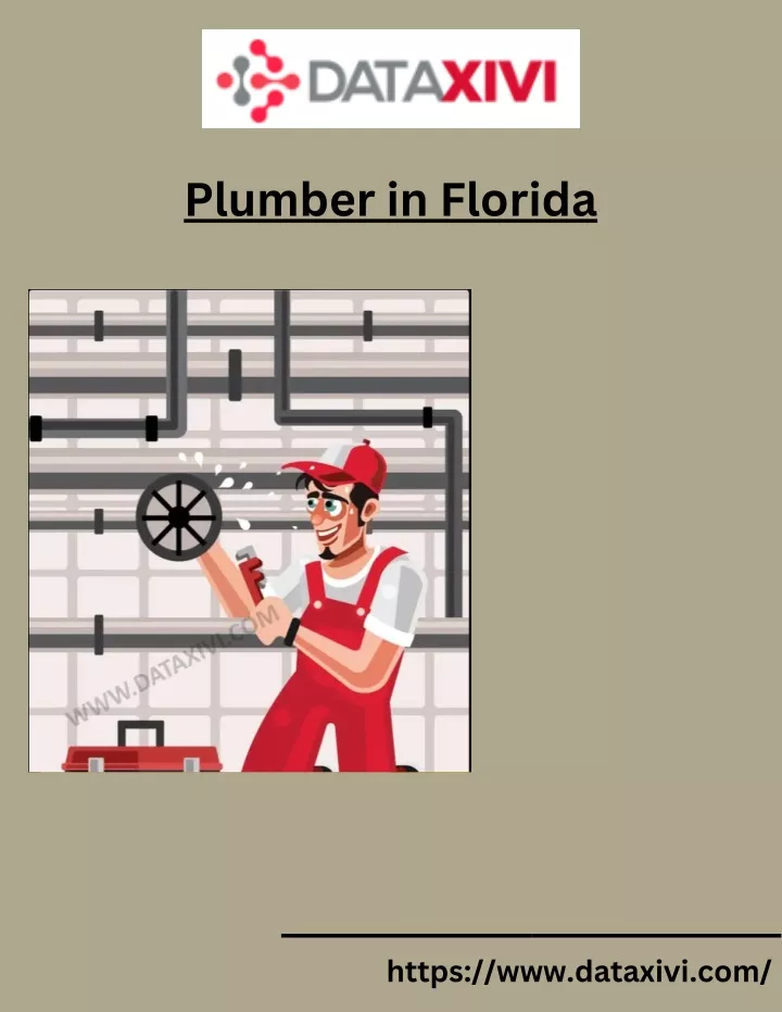 plumber in florida