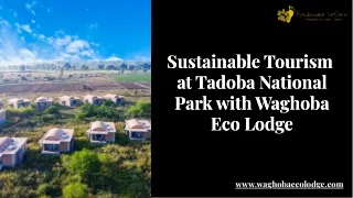 Sustainable Tourism  at Tadoba National Park with Waghoba Eco Lodge