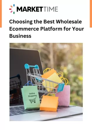 Choosing the Best Wholesale Ecommerce Platform for Your Business