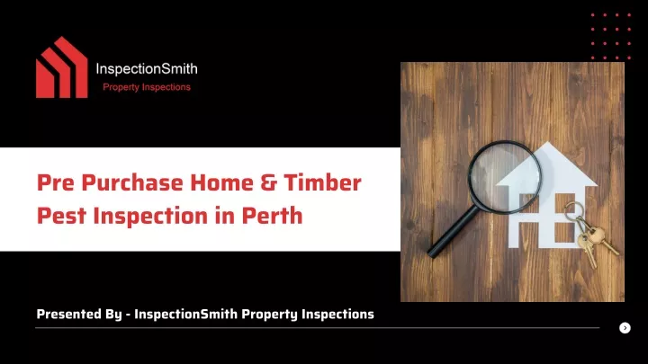 pre purchase home timber pest inspection in perth