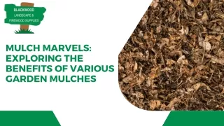 Mulch Marvels Exploring the Benefits of Various Garden Mulches