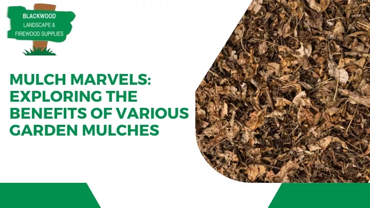 mulch marvels exploring the benefits of various