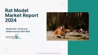 rat model market report 2024