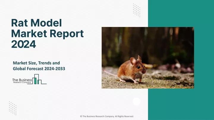 rat model market report 2024