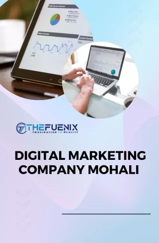 Digital Marketing Company Mohali