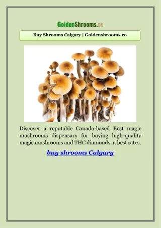 Buy Shrooms Calgary | Goldenshrooms.co