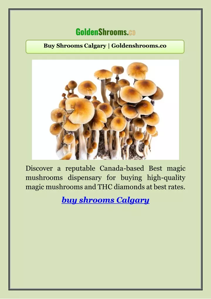 buy shrooms calgary goldenshrooms co
