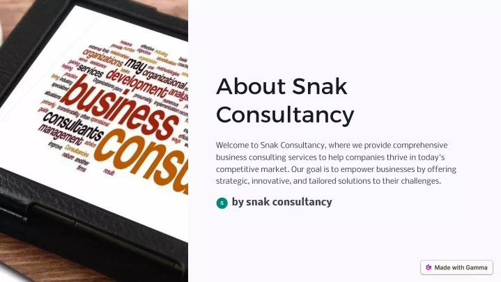 about snak consultancy