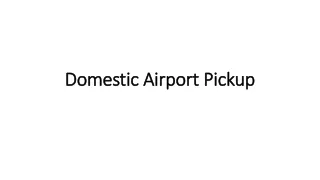 Domestic Airport Pickup