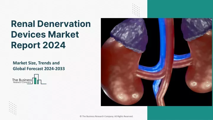 renal denervation devices market report 2024