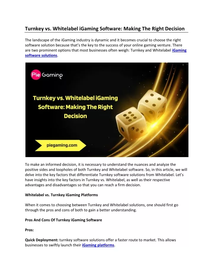 turnkey vs whitelabel igaming software making