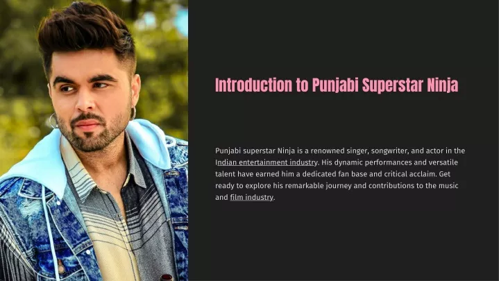 introduction to punjabi superstar ninja