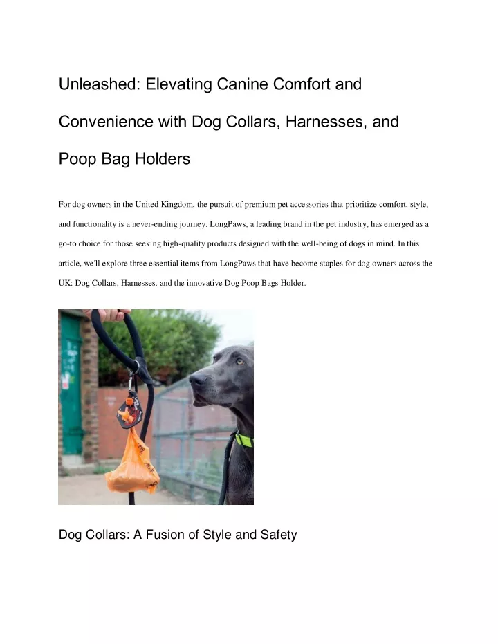 unleashed elevating canine comfort and