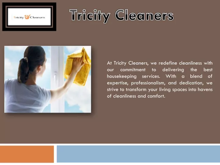 tricity cleaners