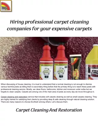 Hiring professional carpet cleaning companies for your expensive carpets