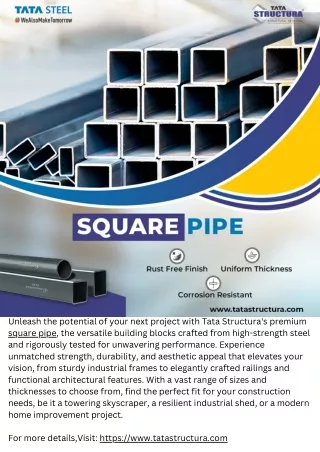 unleash the potential of your next project with