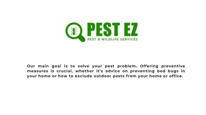 our main goal is to solve your pest problem