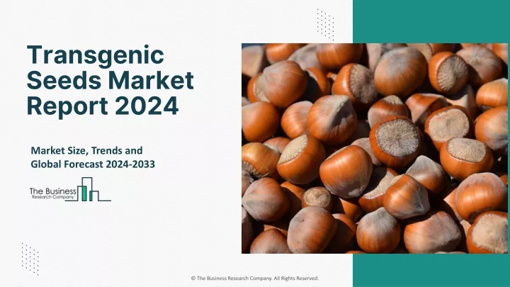 transgenic seeds market report 2024