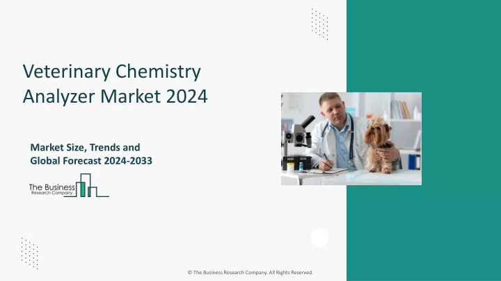 veterinary chemistry analyzer market 2024