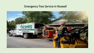 Emergency Tree Services in Roswell