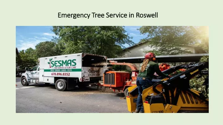 emergency tree service in roswell