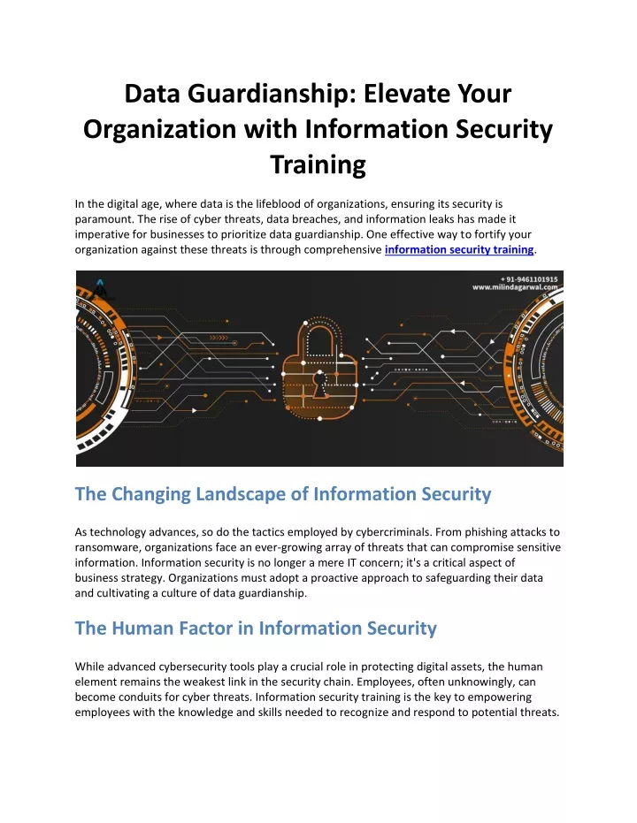 data guardianship elevate your organization with