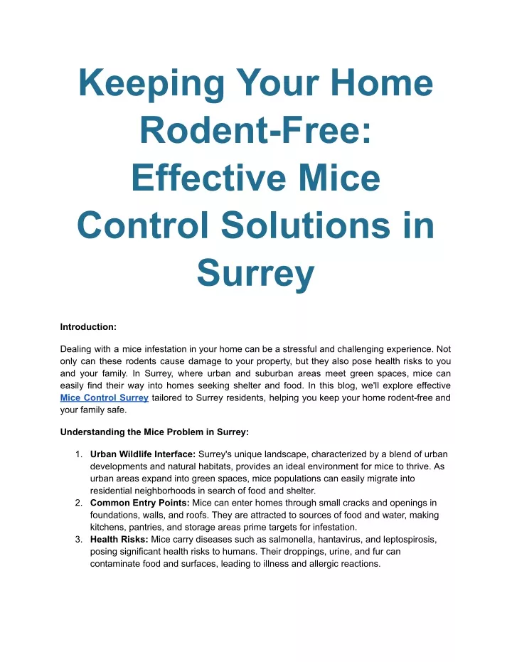 keeping your home rodent free effective mice
