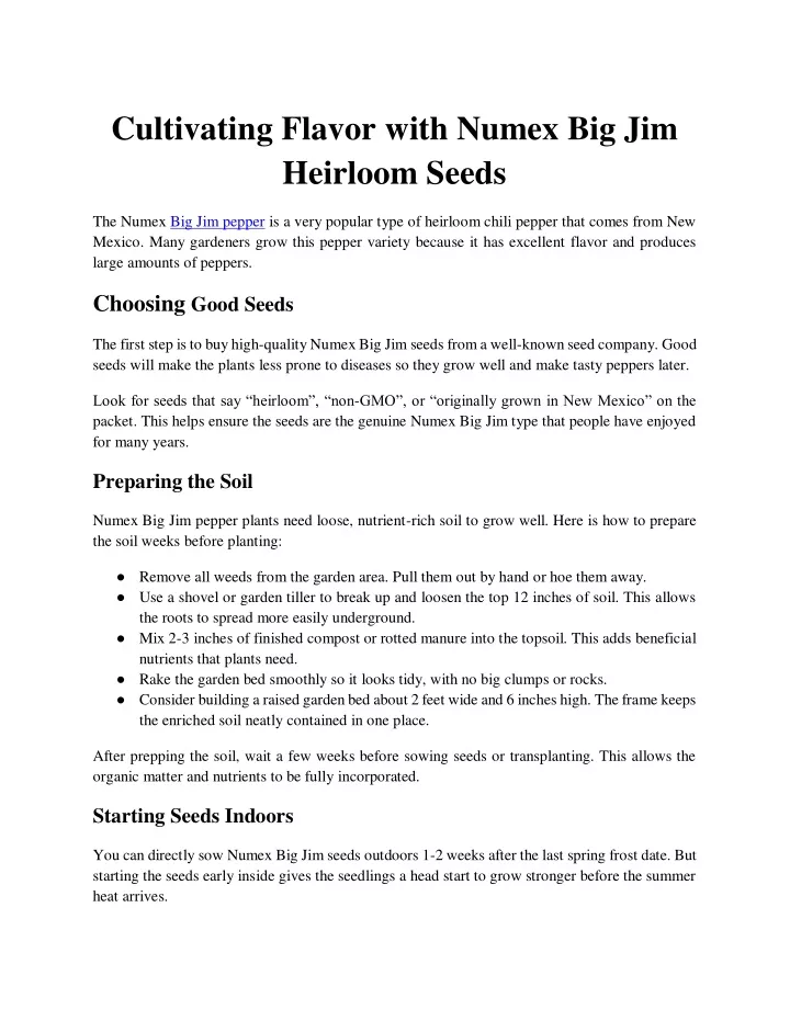 cultivating flavor with numex big jim heirloom