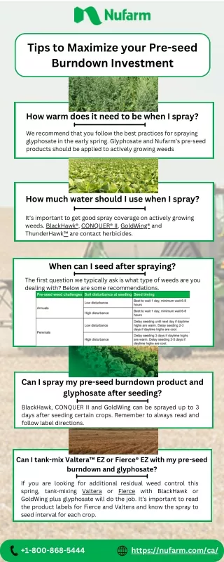 Tips to Maximize your Pre-seed Burndown Investment
