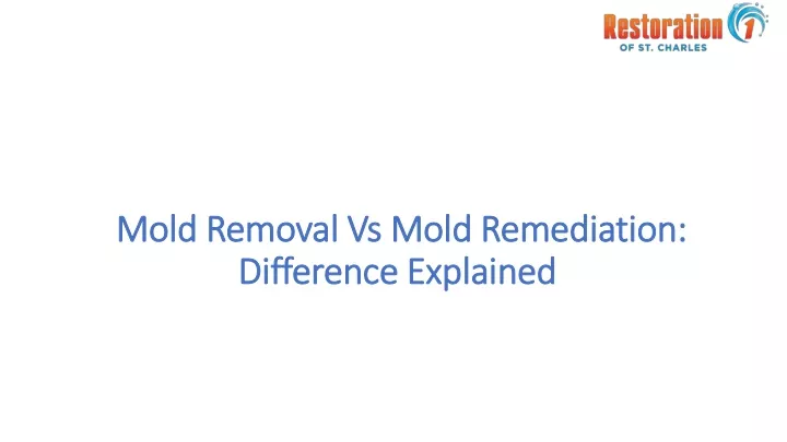 mold removal vs mold remediation difference explained