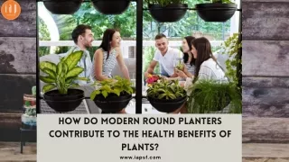 How Do Modern Round Planters Contribute to the Health Benefits of Plants?