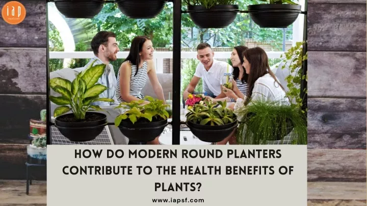how do modern round planters contribute