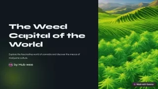 the weed capital of the world