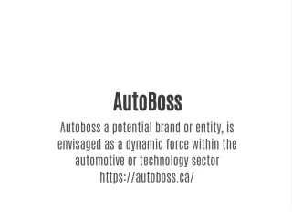 AutoBoss