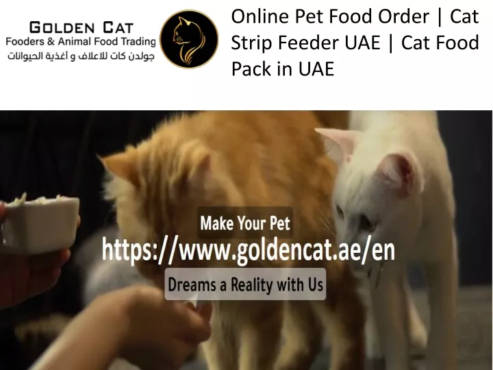 online pet food order cat strip feeder