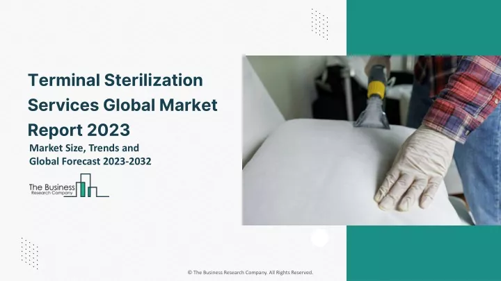 terminal sterilization services global market