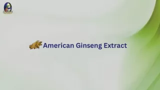 american ginseng extract