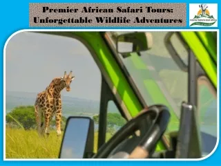Premier African Safari Tours Unforgettable Wildlife Adventures