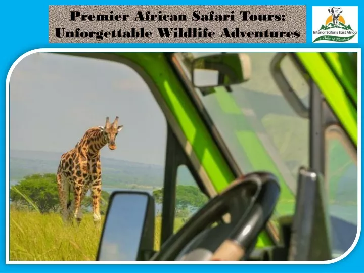 premier african safari tours unforgettable