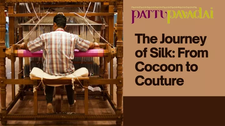the journey of silk from cocoon to couture