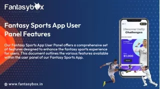 Fantasy Sports App User Panel Features