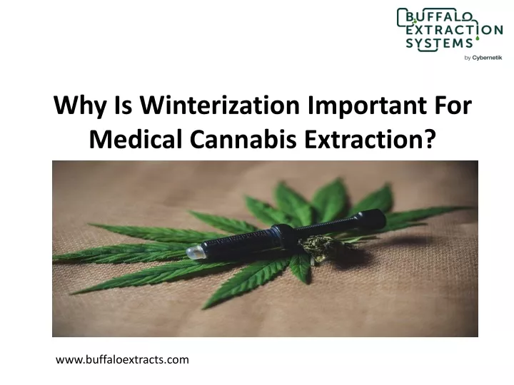 why is winterization important for medical cannabis extraction