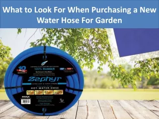 what to look for when purchasing a new water hose for garden