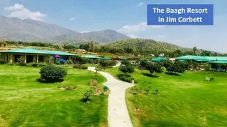 Corporate Offsite in Jim Corbett - The Baagh Resort in Jim Corbett