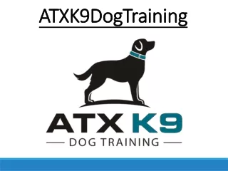 Dog Training Round Rock TX