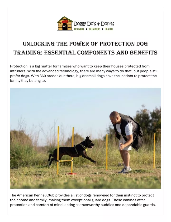 unlocking the power of protection dog training