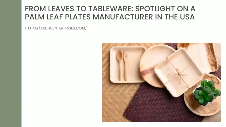 from leaves to tableware spotlight on a palm leaf